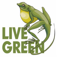 Live Green, Lizard Photo Cut Outs