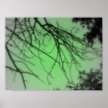 Live Green posters