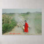 Live life in colour... posters