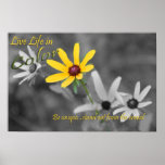 Live Life in Colour posters