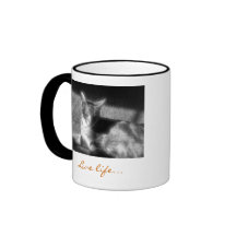 Live life in the light... mugs