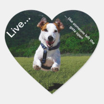 Live Like Someone Left the Gate Open Sticker