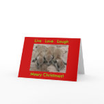 Live Love Laugh - Meerkat Holidays Card