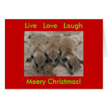 Live Love Laugh - Meerkat Holidays Card
