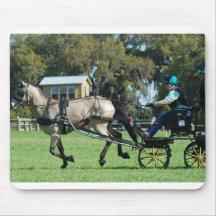 live oak cde mouse pads