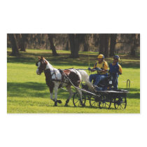 live oak cde rectangle sticker
