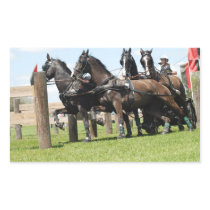 live oak cde rectangular sticker