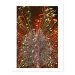 Live Oak Florida Tree Christmas Lights Zoom Post Card