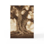 Live Oak - MW1101 Greeting Cards