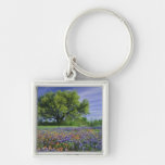 Live Oak & Texas Paintbrush, and Texas Key Chains