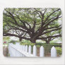 Live Oak Tree, Natchez, MS  Mouse Pad