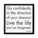 "Live The Life You've Imagined" magnets