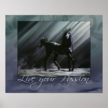 Live your Passion
