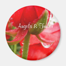 Lively Red Magnet