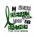 Liver Cancer I Wear Emerald For My Brother 37 t-shirts