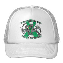 Liver Disease Survivor By Day Ninja By Night Hat