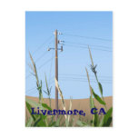 Livermore Postcard