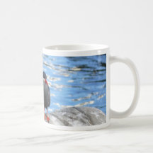 Living Coast Devon Coffee Mugs