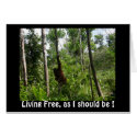 "Living Free, as I should be !"  blank card