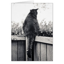 Living Gargoyle Greeting Card