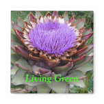 Living Green magnets