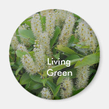 Living Green Magnet