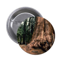 Living Mountain Pins
