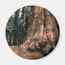 Living Mountain Refrigerator Magnet