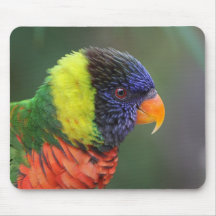 Living Rainbow Mouse Pads