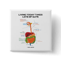 Living Today Takes Lots Of Guts (Digestive System)