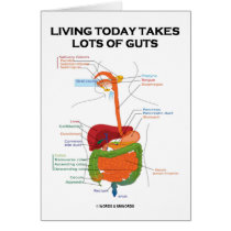 Living Today Takes Lots Of Guts (Digestive System)