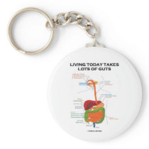 Living Today Takes Lots Of Guts (Digestive System)