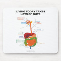 Living Today Takes Lots Of Guts (Digestive System)