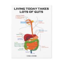 Living Today Takes Lots Of Guts (Digestive System)