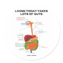 Living Today Takes Lots Of Guts (Digestive System)