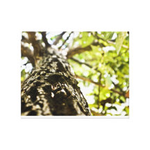 Living under the green stretched canvas print