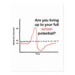 Living Up To Your Full Potential Post Cards