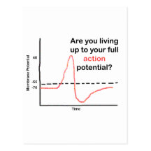 Living Up To Your Full Potential Post Cards