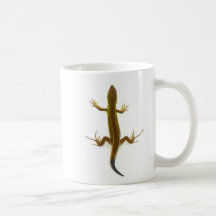 lizard coffee mugs