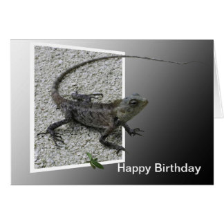 Lizard Cards, Photo Card Templates, Invitations &amp; More