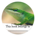 Lizard Lover Anole Book Sticker