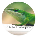 Lizard Lover Anole Book Sticker