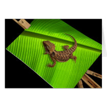 Lizard on Canvas Card