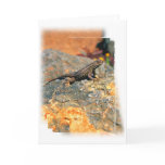 Lizard on Coloured Rock cards