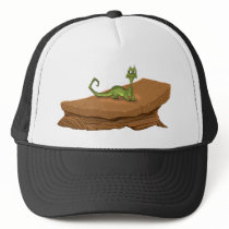 Lizard on rock
