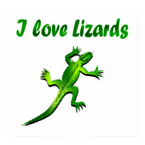 Lizard Poster posters