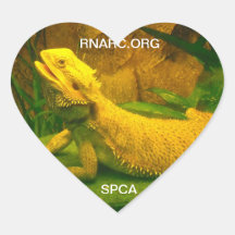 lizard sticker or magnet