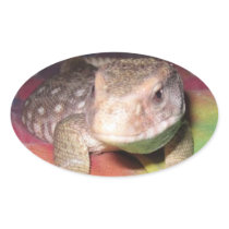 Lizard Stickers