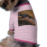 Lizards Blue Belly Scales pet clothing