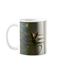 Lizards in Love Coffee Mugs